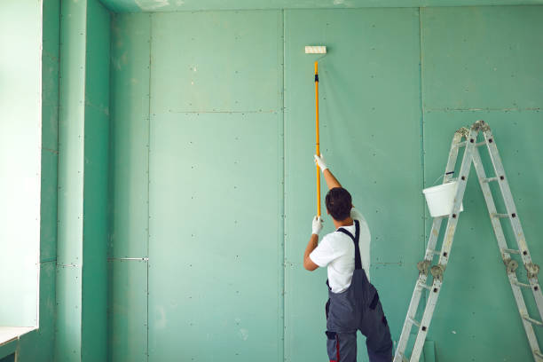 Professional Mold Removal in Grayson, KY