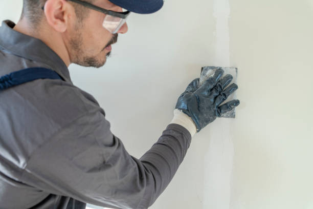 Best Mold Removal for HVAC Installations  in Grayson, KY