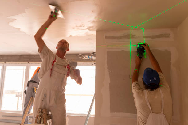 Best Industrial Mold Remediation  in Grayson, KY