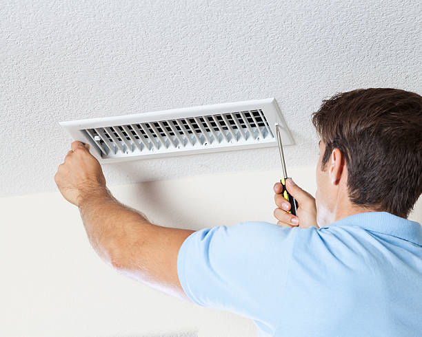 Best Basement Mold Removal  in Grayson, KY