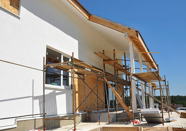 Best Emergency Mold Remediation  in Grayson, KY